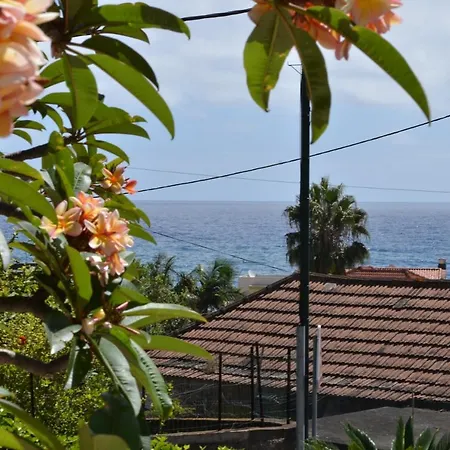 O Clube Villa Porto Da Cruz Exterior photo